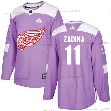 Adidas Herrar Detroit Red Wings #11 Filip Zadina Autentisk Lila Cancer Träning Tröjor