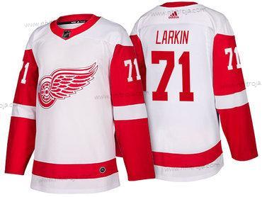 Adidas Herrar Detroit Red Wings #71 Dylan Larkin Vit 2017-2018 Hockey Stitched NHL Tröjor