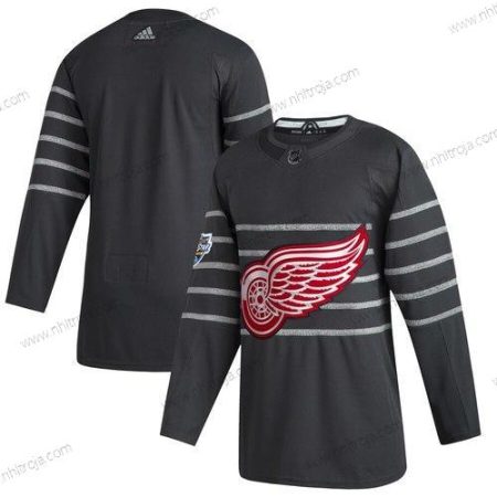 Adidas Herrar Detroit Red Wings Blank Grå 2020 NHL All-Star Game Tröjor