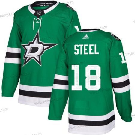 Herrar Dallas Stars #18 Sam Steel Grön Stitched Tröjor