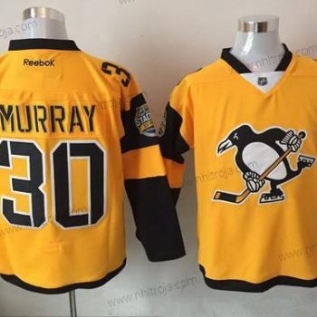 Herrar Pittsburgh Penguins #30 Matt Murray Gul 2017 Stadium Series Stitched NHL Reebok Hockey Tröjor