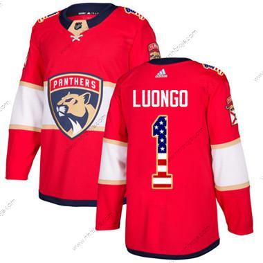 Ungdomen Florida Panthers #1 Roberto Luongo Röd Autentisk USA Flag Stitched NHL Hemma Tröjor